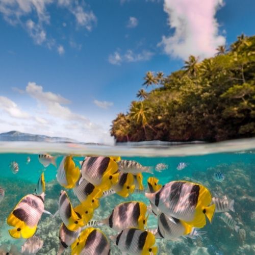 Huahine